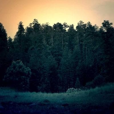 Son Tint Lâu Trôi Velvet 12h Pro